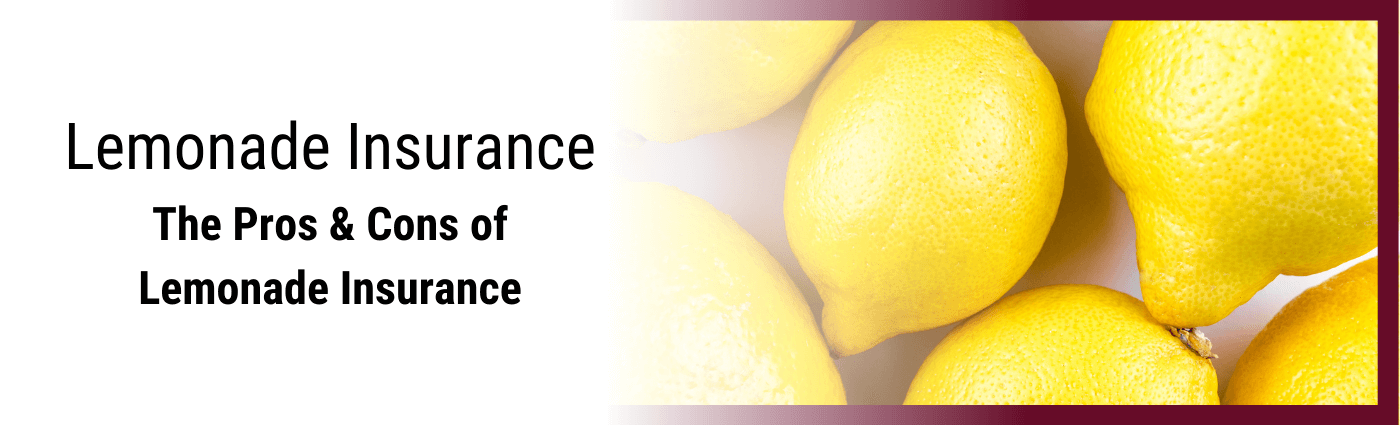 Lemonade Insurance App Review - Renters & Home Insurance - PA