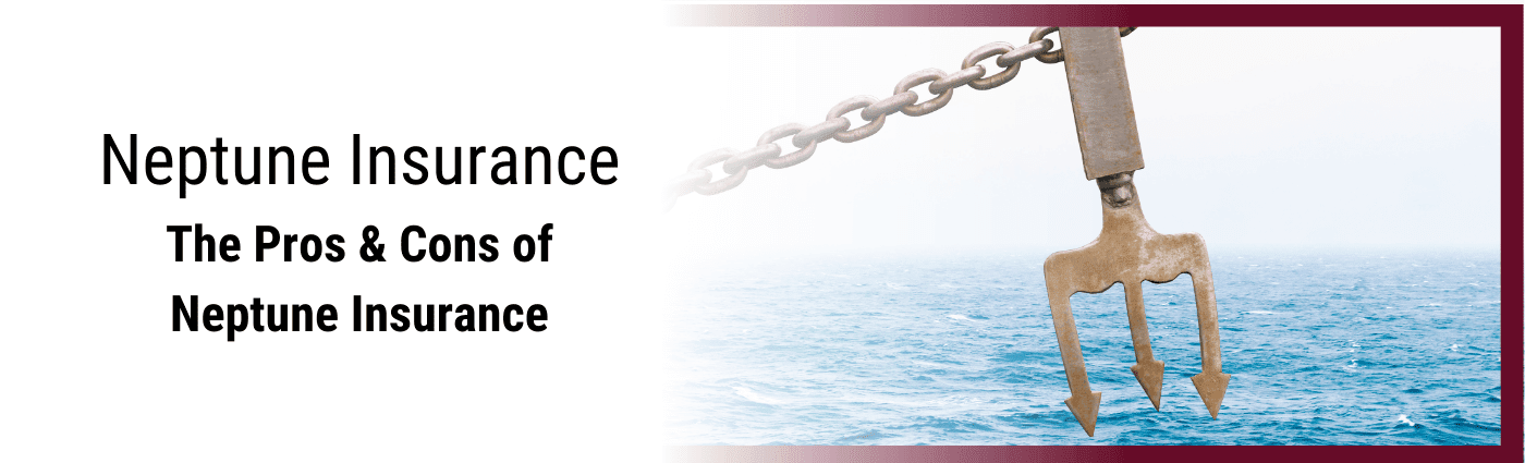 The Pros and Cons to Neptune insurance app.