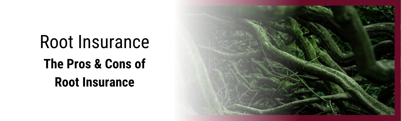 Root Insurance App Review & Tips - Insurance Apps - Tech Review